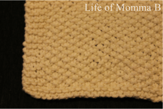 seed stitch dishcloth