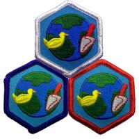Caring for My Environment Merit Badge Help | Life of Momma B