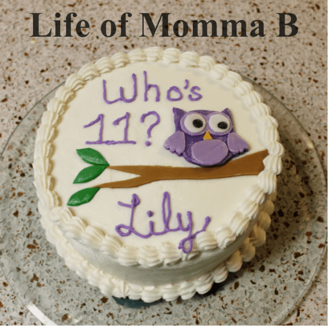 Owl Cake | Life of Momma B