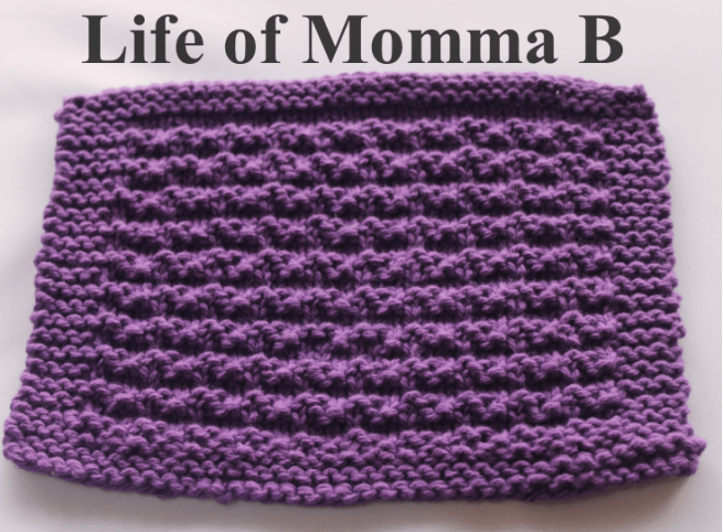 double bumb dishcloth