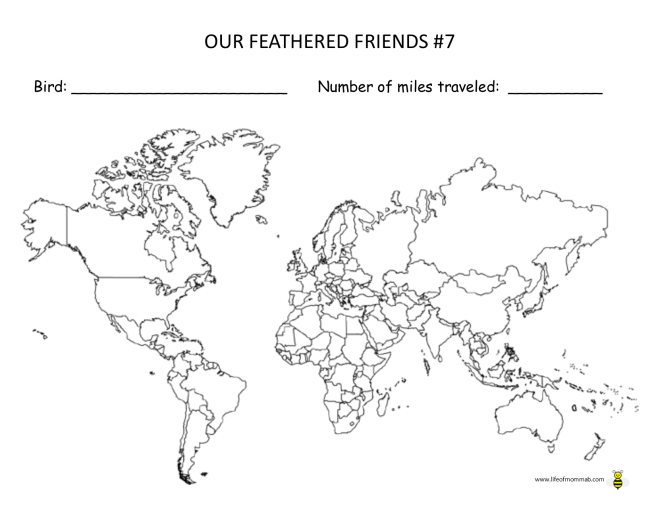 Our Feathered Friends #7