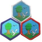 nature%20and%20wildlife%20all-thumb